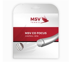 MSV Co. Focus