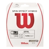 Wilson Spin Effect Hybrid